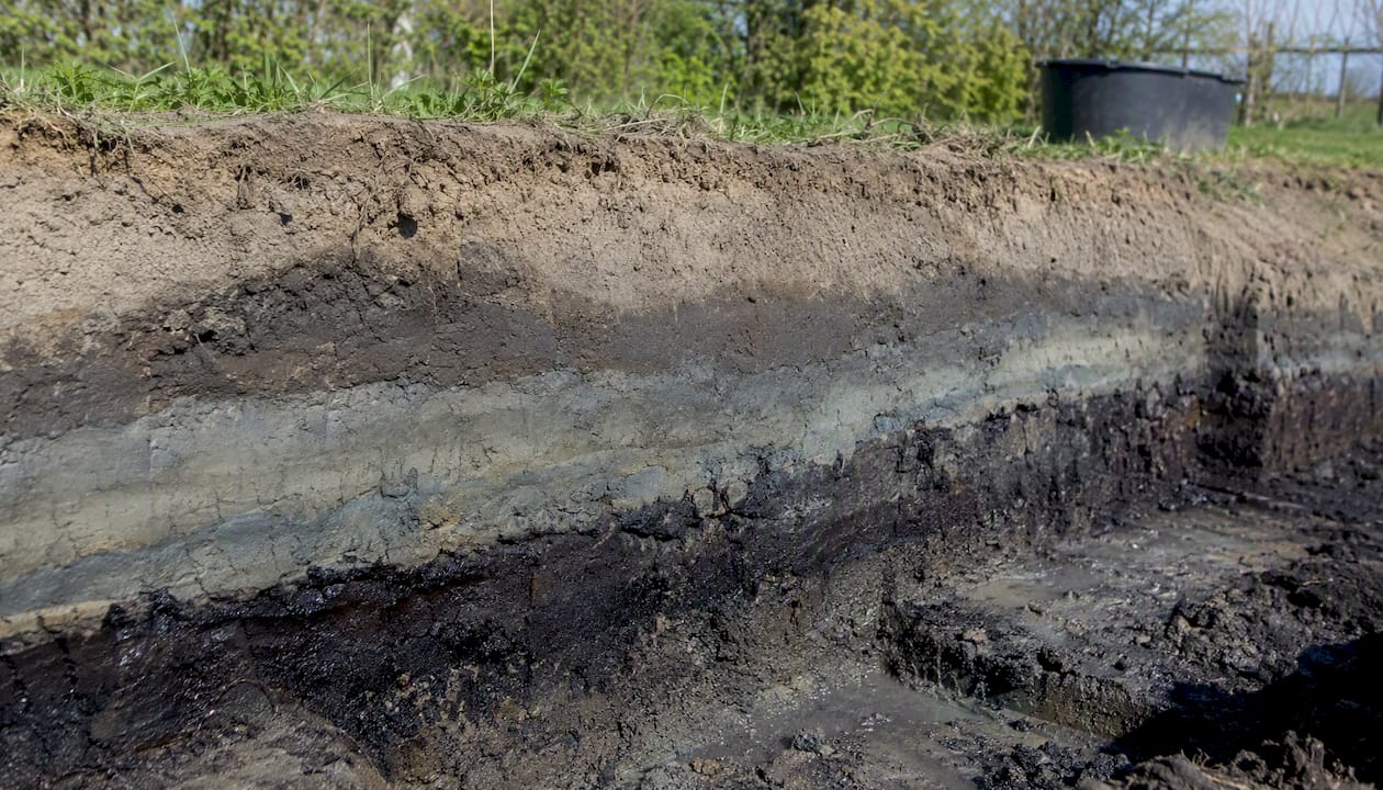 Opbouw van de bodem in Breda: een kijkje in de verschillende grondlagen
