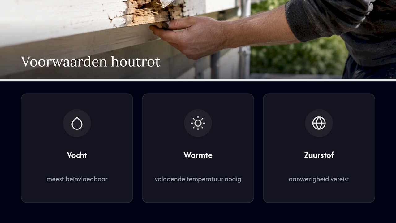 Drie voorwaarden voor het ontstaan van houtrot